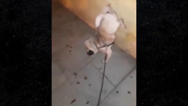 ПОТРАЧЕНО#1 смотреть онлайн