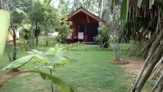 Dreamvillage, Sri Lanka смотреть онлайн