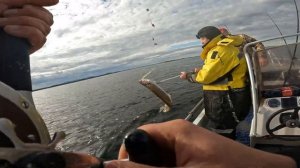 Морская рыбалка в Норвегии поймал СУПЕР трофей