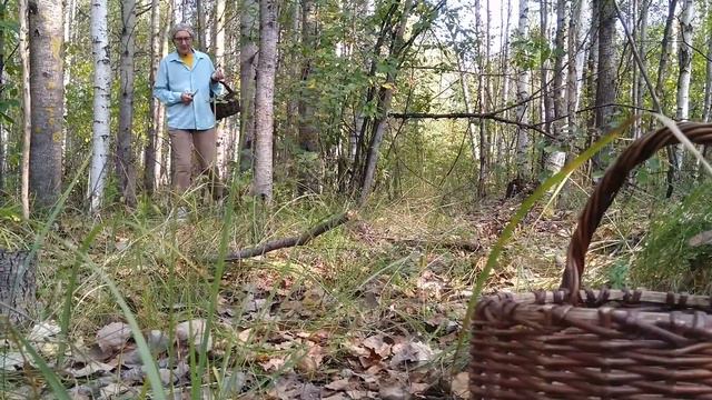 Бабушка выздоравливай!