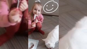 Кто всеядный динозавр? 🦕 Анюта кормит кота