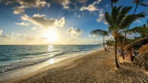 Картинка океан. Гавайи, остров, берег, пляж, пальмы, пейзаж, море