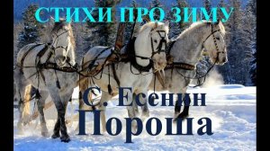 Стихотворения про зиму и Новый год. Есенин Пороша