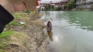 РЫБАЛКА В МОРСКОМ ПОРТУ СОЧИ И В ДАГОМЫСЕ