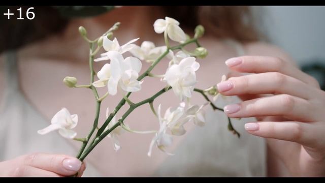 Именно в этот момент все поняли, что Михримах копия Хюррем. смотреть онлайн