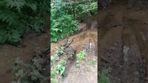 Дорога из города Октябрьский РБ на Шумиловский водопад, который находится в Туймазинском р-не РБ.
