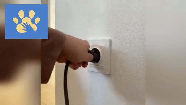 Приколы С Котиками И Собачками | Юмор Для Поднятия Настроения