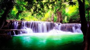 ? Пение птиц в лесу. Звуки природы для сна. Шум водопада ?. Шум воды. Белый шум для релакса 3 часа