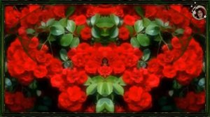 Красивая мелодия для души