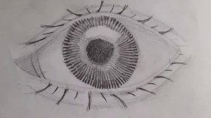 Как нарисовать глаза человека