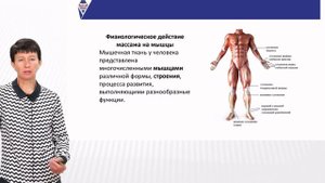 Физиологическое действие массажа на организм человека. Мицан Е.Л.