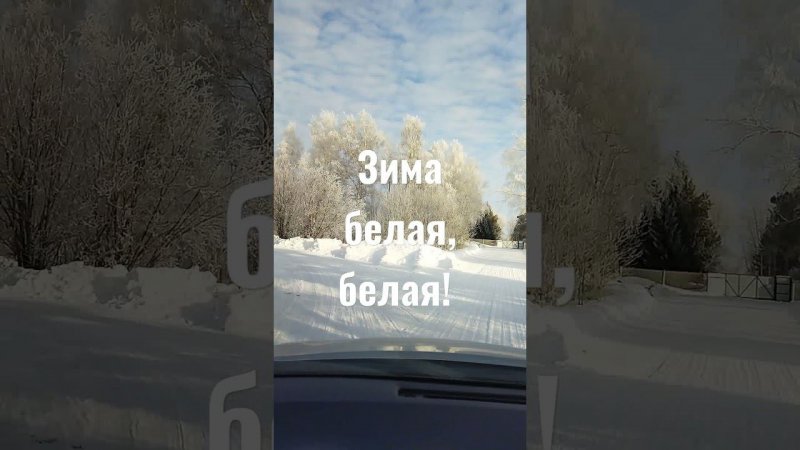 Наши зимы.
