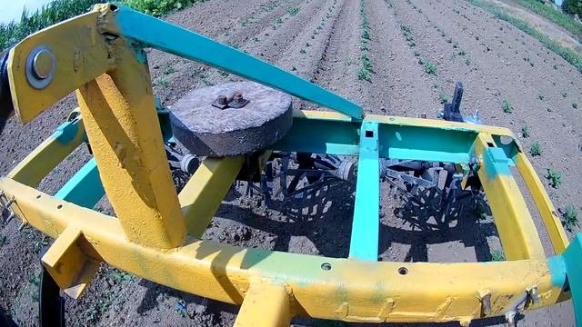 ЕЖИ для прополки картофеля в работе!