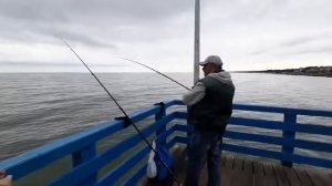 РЫБАЛКА НА ПИРСЕ В ЗЕЛЕНОГРАДСКЕ