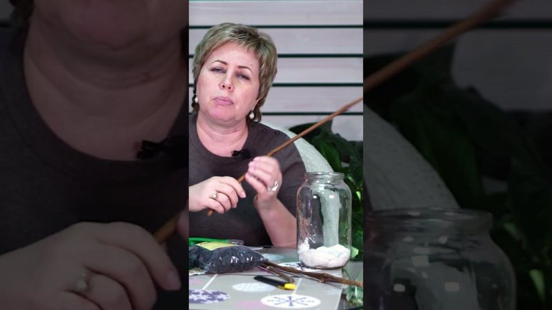 100% СУПЕР СПОСОБ УКОРЕНЕНИЯ ЧЕРЕНКОВ ВИНОГРАДА