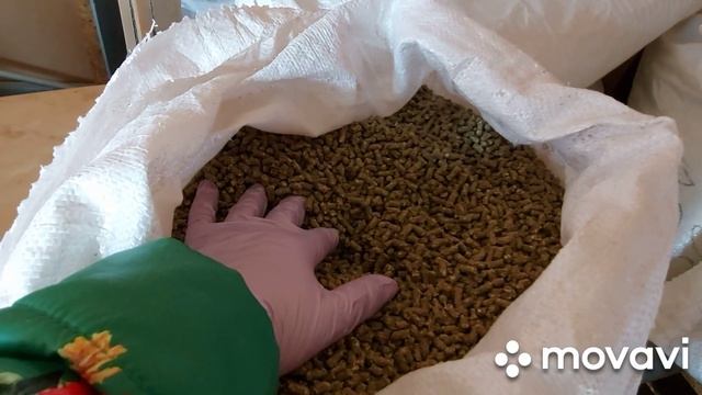 Кролики. Комбикорм для кроликов.  Пурина,Маркорм или другой? Как растут кролики.
