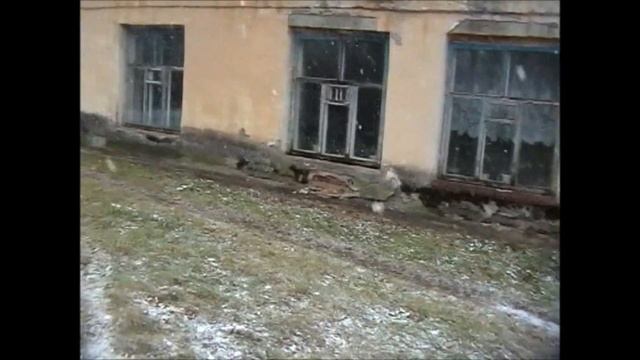 Экскурсия по психбольнице в Ахлебинино