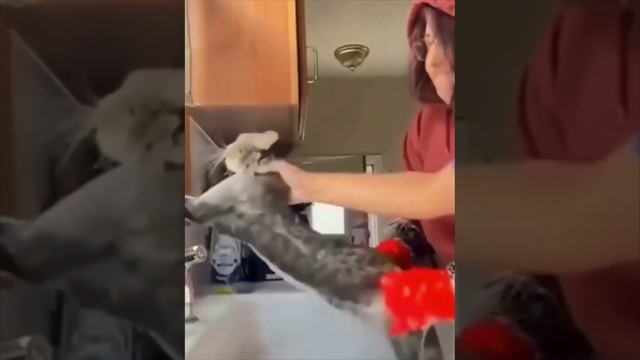 Выжить любой ценой