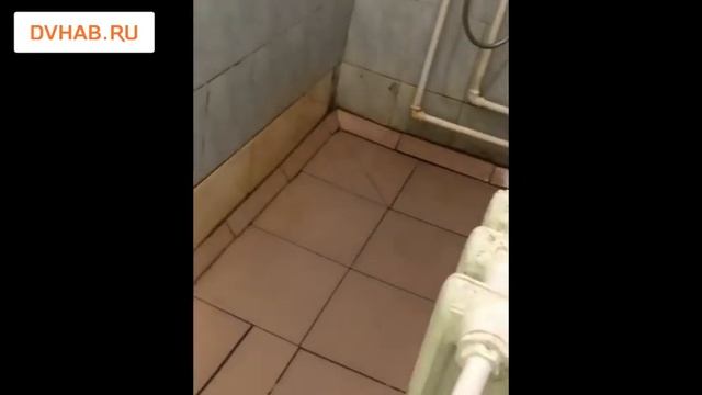 Отделение ПОНД в перинатальном центре Хабаровска