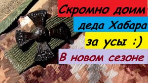 Скромно доим деда Хабара за бороду.)В новом сезоне..mp4