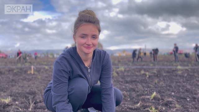 Посадка аллеи славы в честь освободителей Донбаса