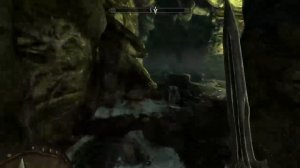 Skyrim : Starting a new life of good