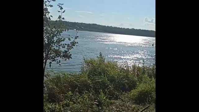 рыбалка в барнауле август протока бобровка смотреть онлайн