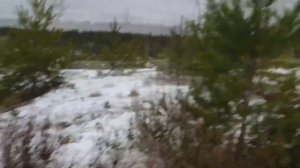 SPOG field training/Зимний полевой выход. Страйкбол зимой