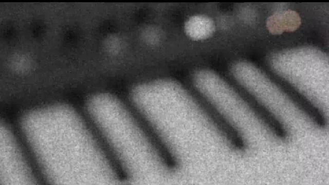 Build a track only using Behringer Deepmind 12 - LET YOU GO by BEHIND THE BORDER #OneSynthChallenge смотреть онлайн