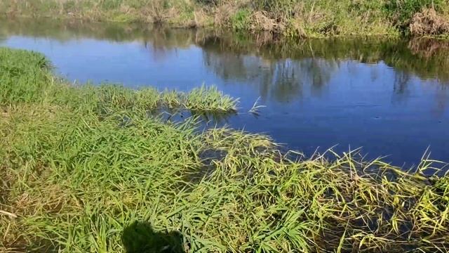 Рыбалка на спиннинг на реке Лесная смотреть онлайн