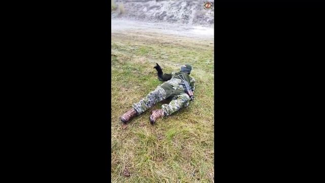 Упражнение "Звезда" смотреть онлайн