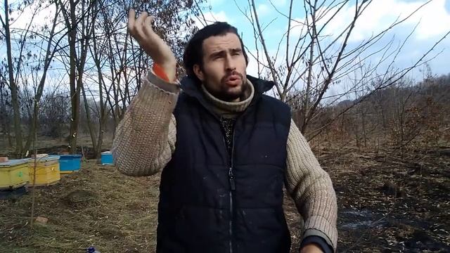 Как розместить пасеку пчел в лесу?где поставить пасеку.Кочевая пасека.Какие док