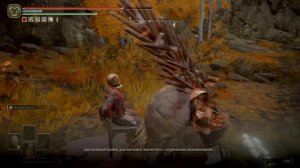 ELDEN RING™ Квест Пожирателя отбросов