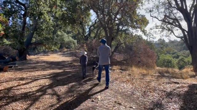 Вешаем полочку / Прогулка возле местных «дворцов» смотреть онлайн