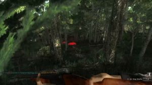 [047] Мэддисон играет в The Hunter. Стрим 17.01.2014.