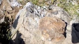 Фосфориты и кремнеземы отложений древнего океана Тетис возрастом 55 миллионов лет в Волгограде 海洋特提