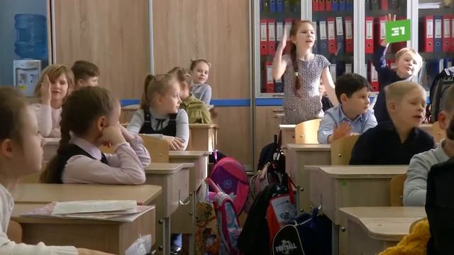 В День кошек челябинским школьникам рассказали, как правильно ухаживать за хвостатыми смотреть онлайн