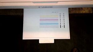 Принтер Canon PIXMA MG2440 Нижняя часть страницы не копируется