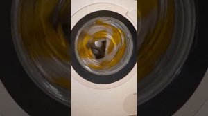 Bosch serie 6 Waschmaschine