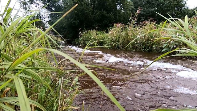 Современная старина «Музей «Золотой ручей» ГТРК Карелия Золотое кольцо 2022 смотреть онлайн