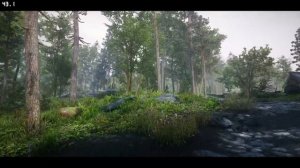 Realistic Forests! - Skyrim Mods | Nature of the Wild Lands | Gameplay Showcase