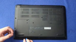 На что способен игровой ноутбук с 1050 ti? Тянет в 2021?