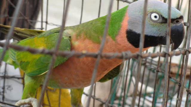 Sony H70 Video Quality.wmv смотреть онлайн