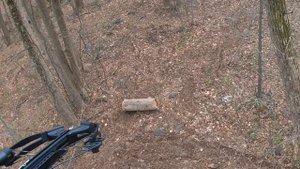 Охота с арбалетом с механическим наконечником (бродхэд раскрывашка)