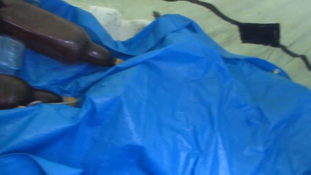 8 марта. Где нужно просыпаться в этот день!