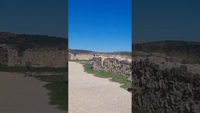 Профессор Преображенский говорит, а я с ним согласен. смотреть онлайн