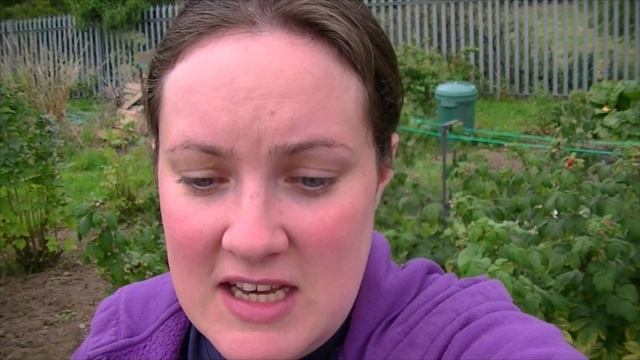 Alouette Potato Reveal I Foodie Gardening Allotment Y1E33 смотреть онлайн