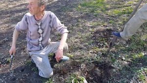 Клубника Лорд и Чёрный принц!