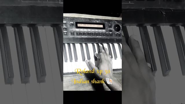 Roland Xp30 indian Shank  new tune