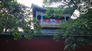 Shaolin Temple: Martial Arts Music for Tai Chi, Kung-Fu & Qigong Meditation Classes